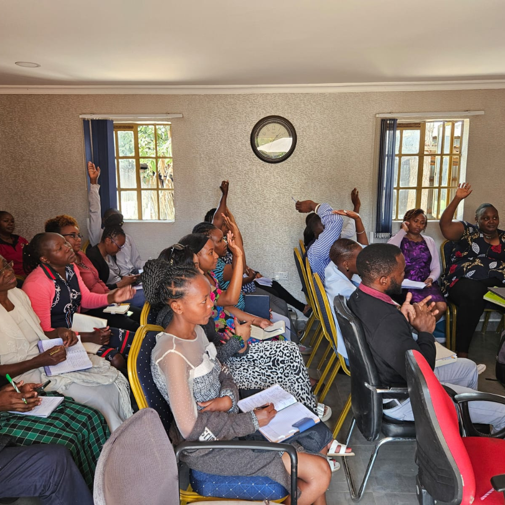 Mentorship session