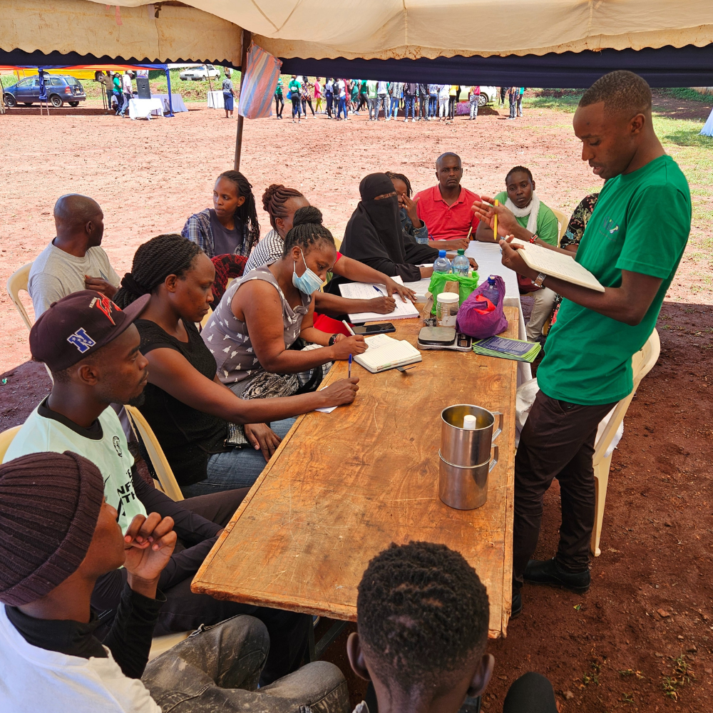 Mentorship session